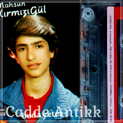 Antika Eşyalarınız Değerinde Alınır